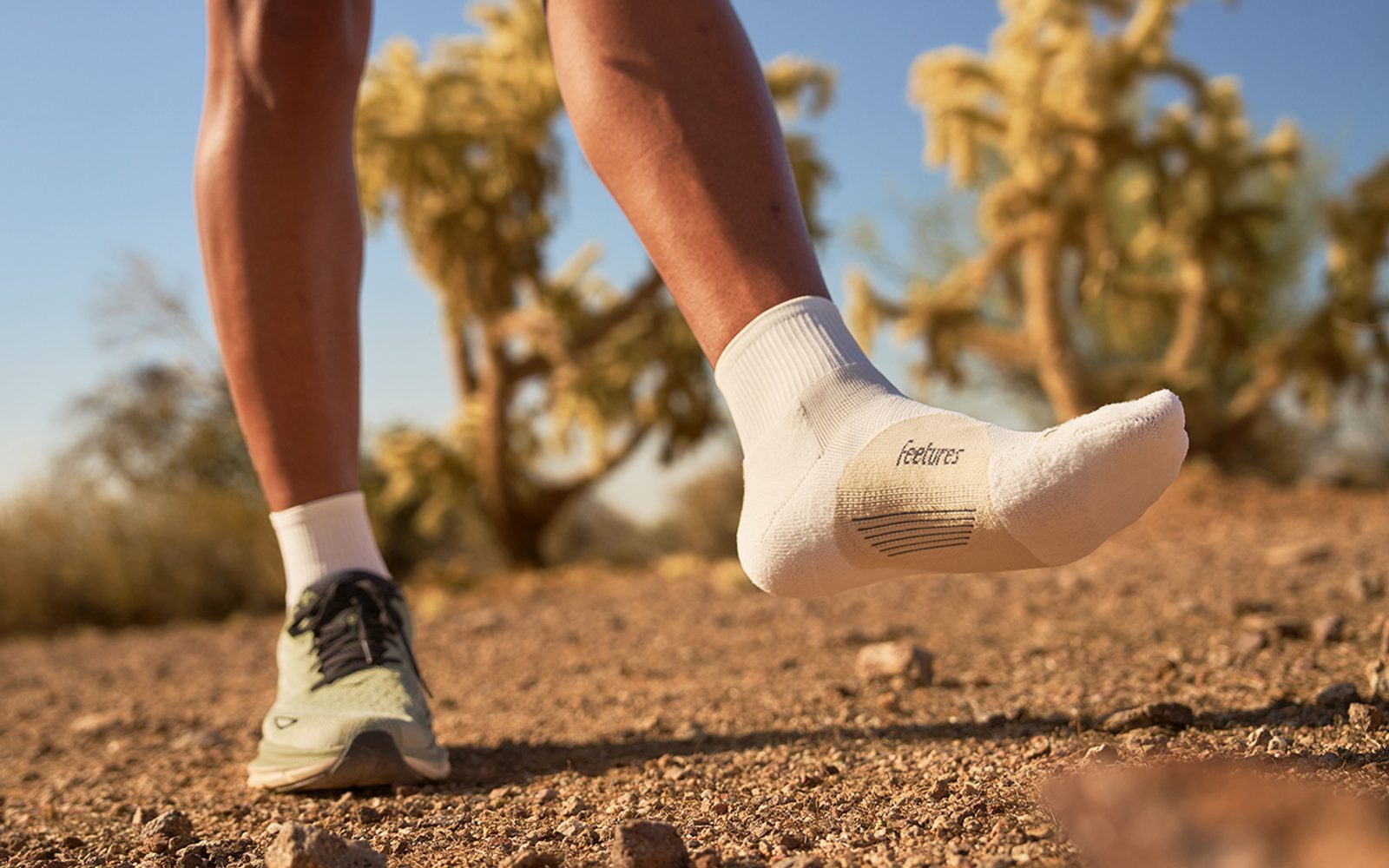 Feetures header image